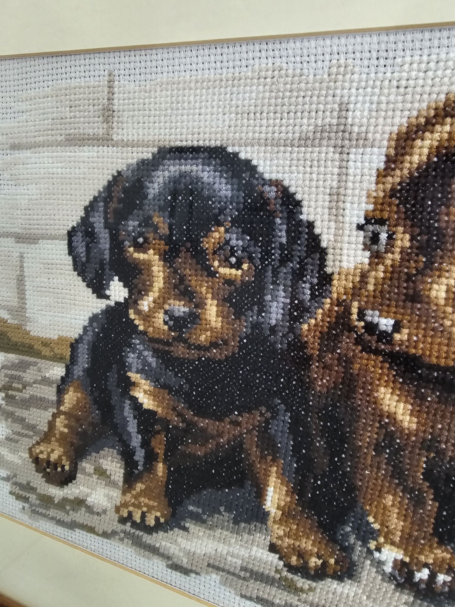 Obraz wyszywany tkany psy pies pieski jamnik jamniki w ramie