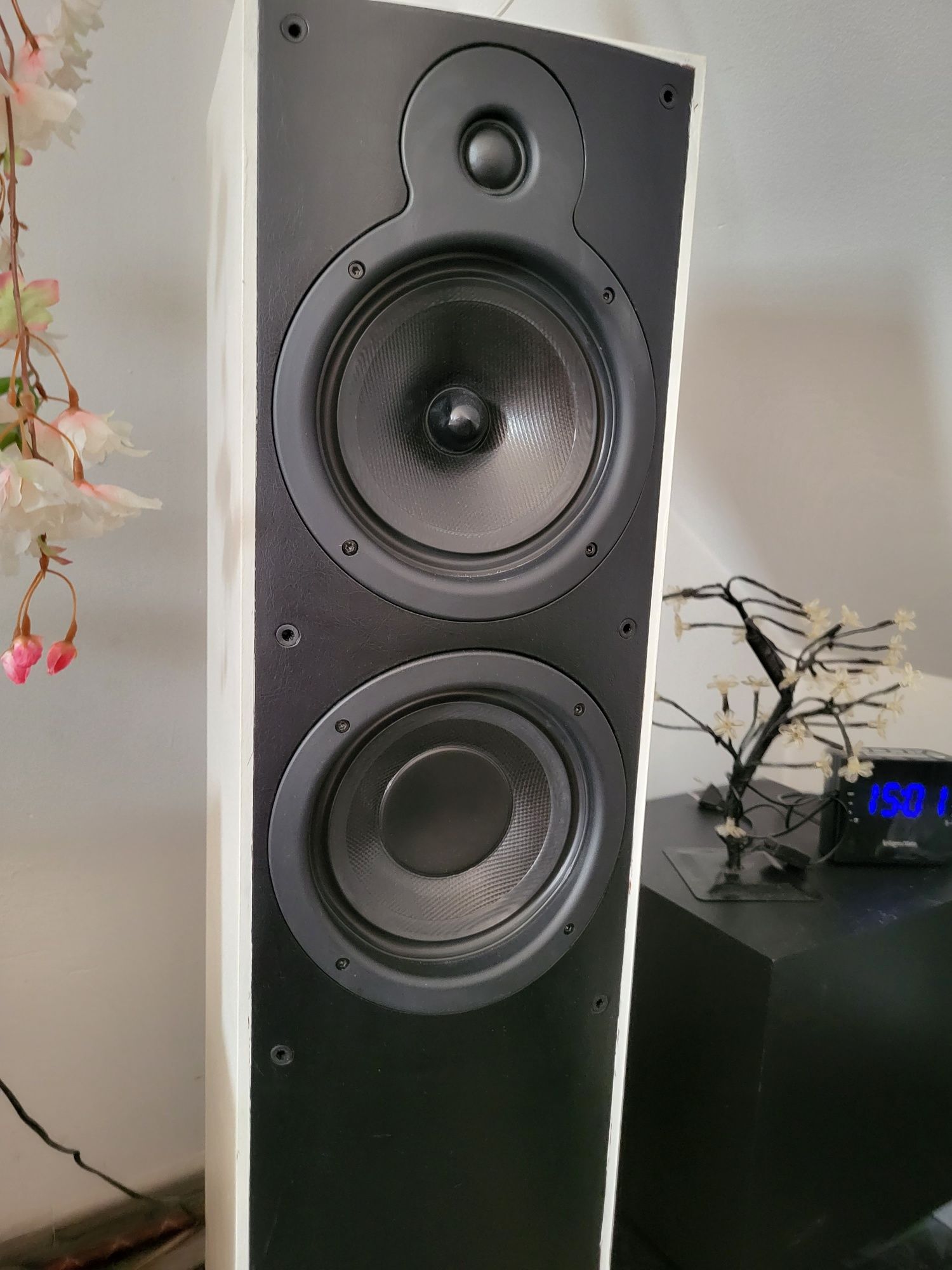 Wharfadalle  Crystal 2.40