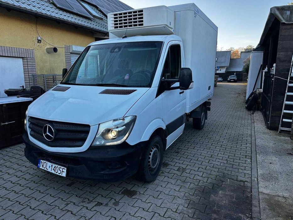 Mercedes Sprinter  Mroźnia