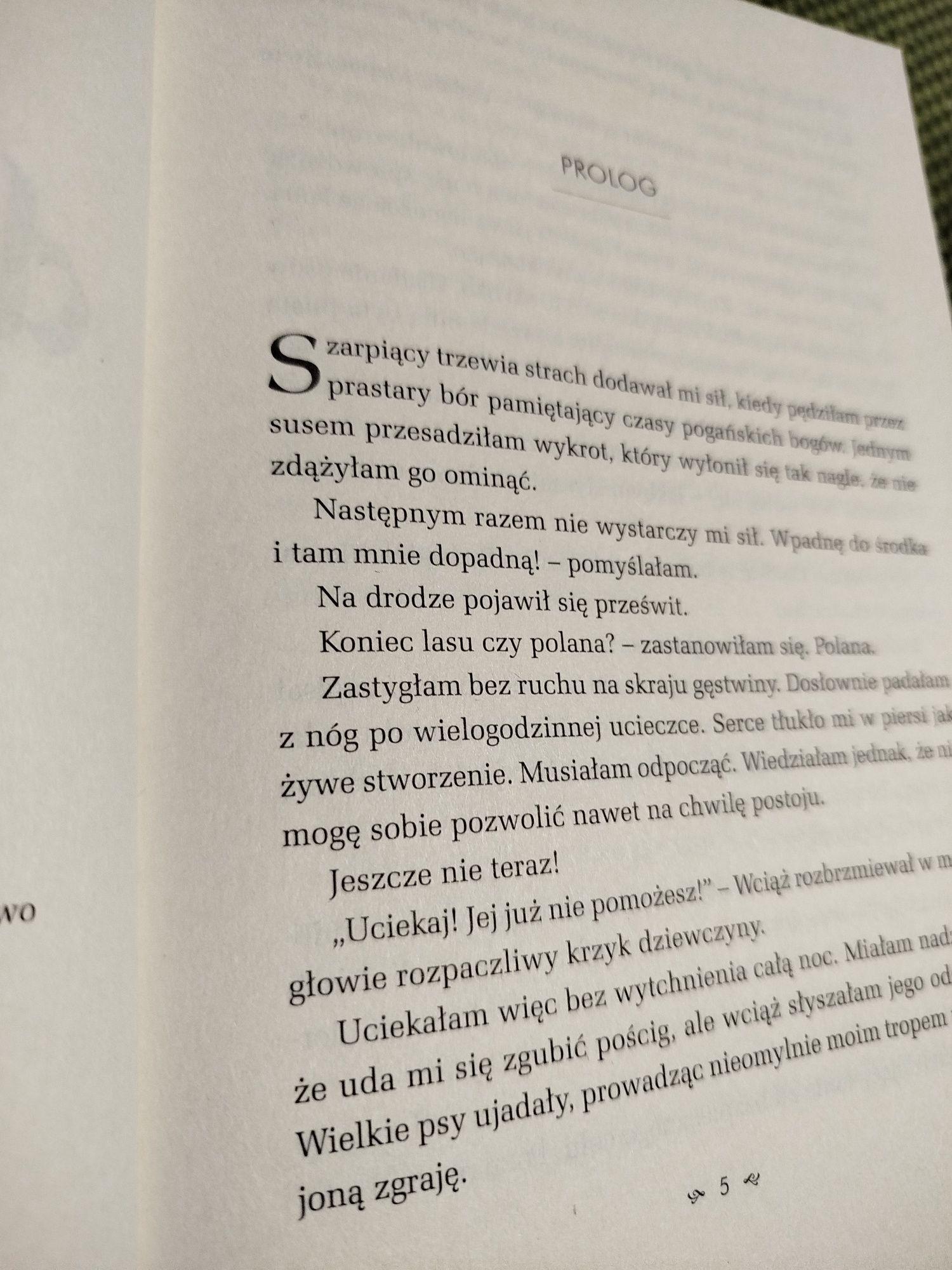 Dom gejsz Alex Vastatrix Waldemar Bednaruk