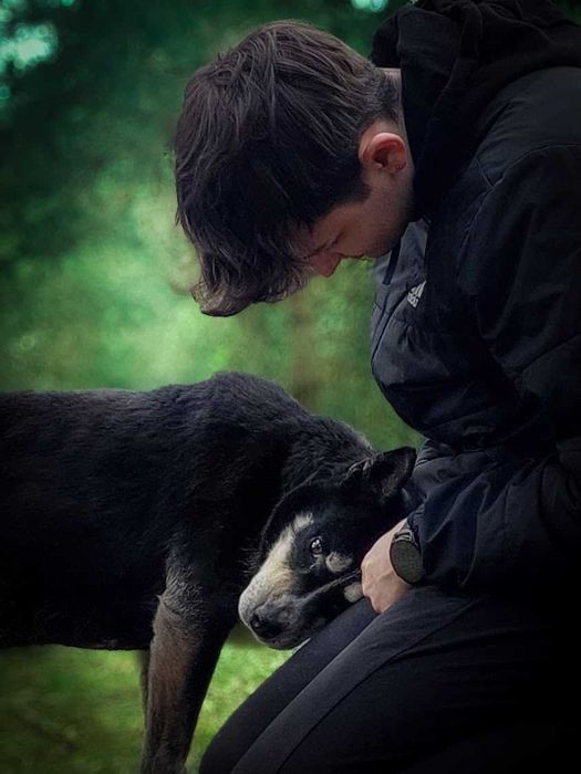 Angel - cudowna psia przyjaciółka