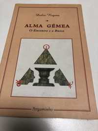 Alma Gémea o encontro e a busca