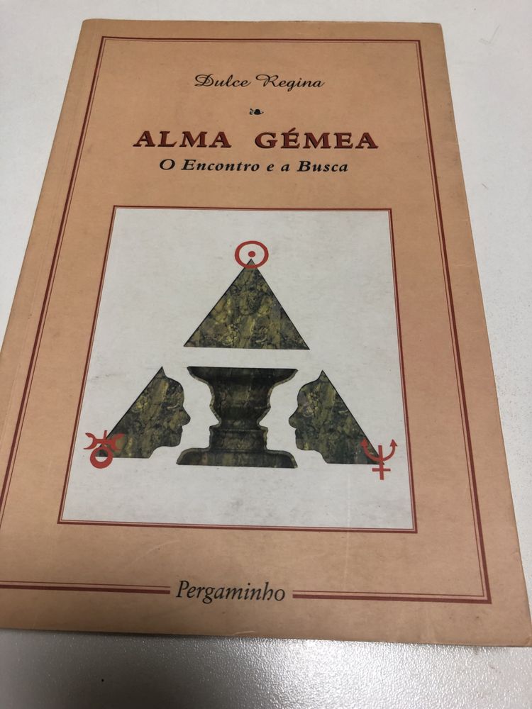 Alma Gémea o encontro e a busca