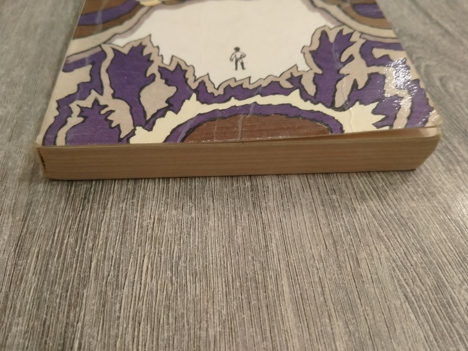 Irena Jurgielewiczowa Ten obcy biblioteka młodych