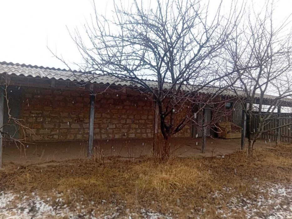 Продам мини ферму в Маяках