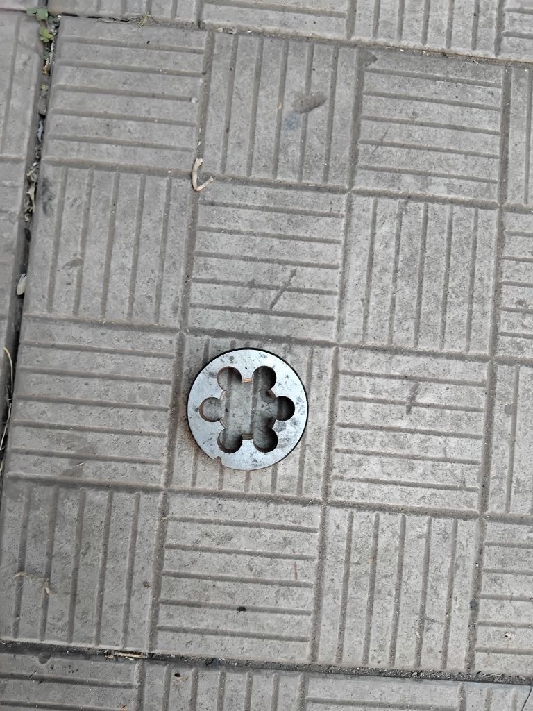 Продаю лерка трубная.