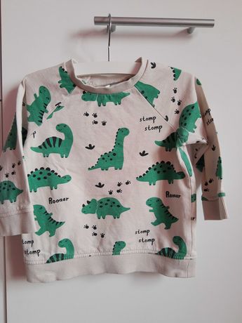 Bluza sweter w dinozaury H&M