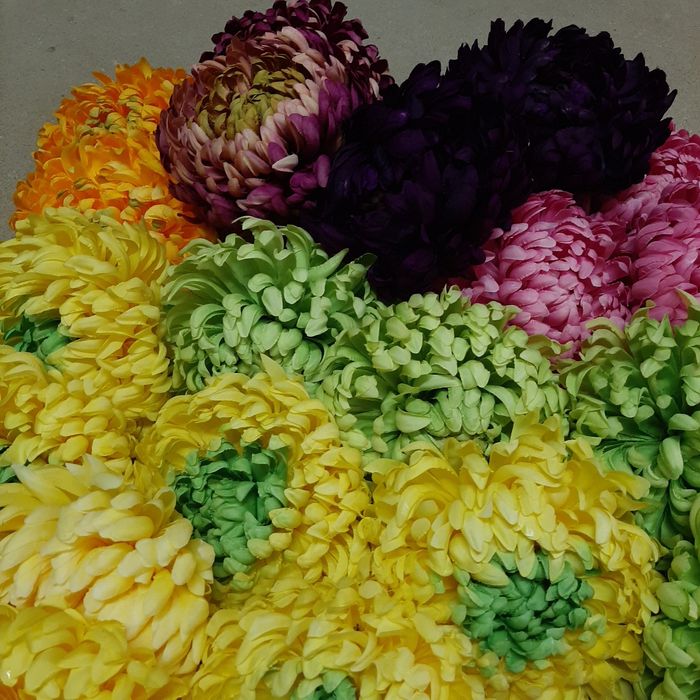 Chryzantema sztuczna