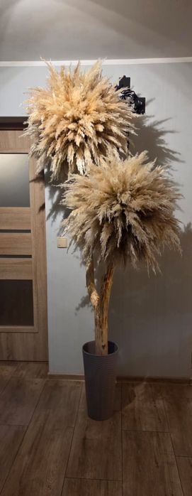 Dekoracja z naturalnej trawy pampasowej