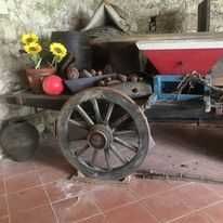 Carro de bois Beira