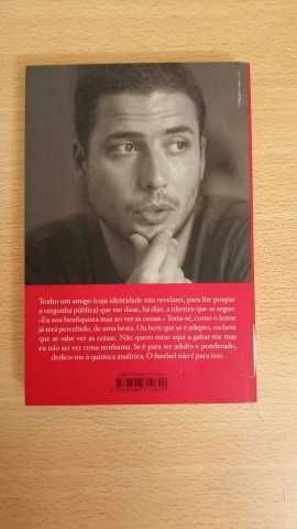 Livro A Chama Imensa de Ricardo Araújo Pereira