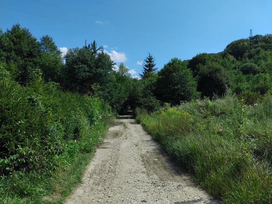 Продаю земельну ділянку Свалява Закарпатської