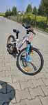 Rower MTB Genesis 20" Shimano