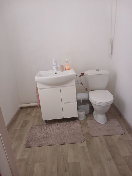 Продається будинок в с.Новомайське ,4 км. від Зарічного.