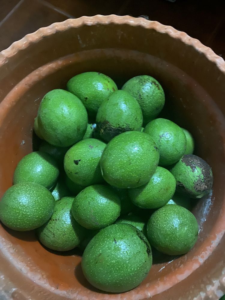 Abacate biológico