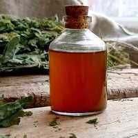 Продам сік чистотілу ферментований.