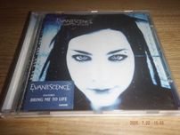 EVANESCENCE - Fallen            .