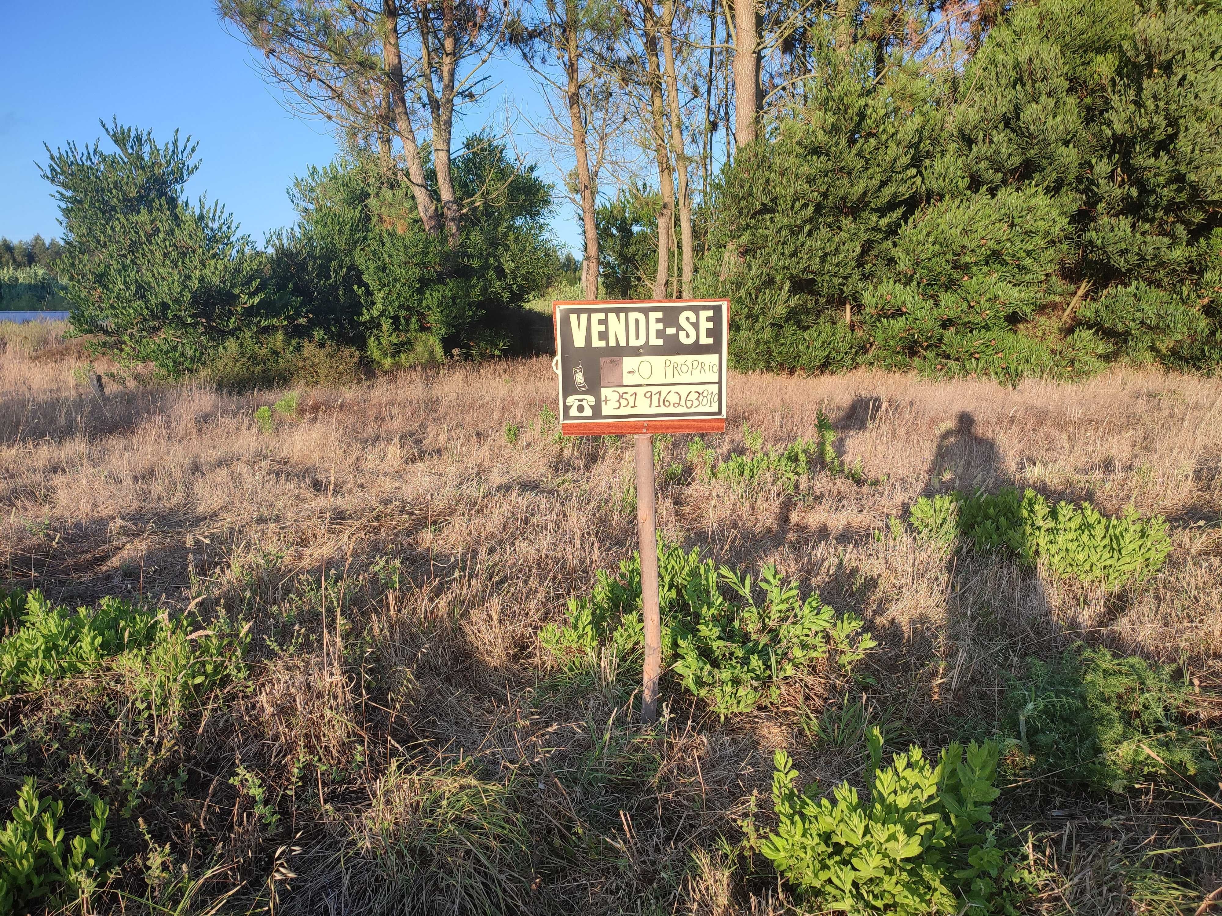 Terreno para Construção no Centro de Mira