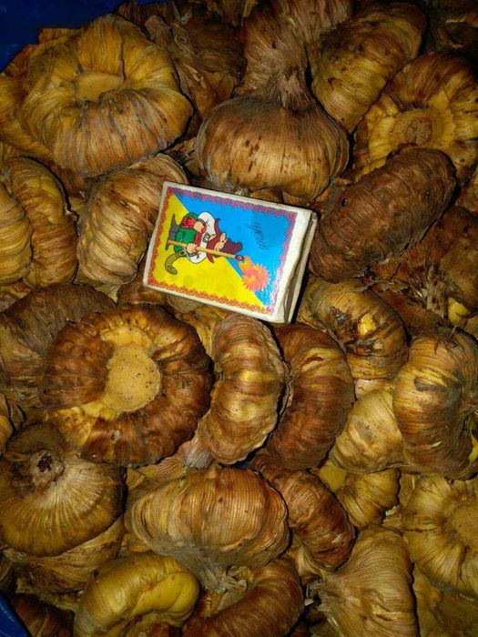 Гладиолус ранний