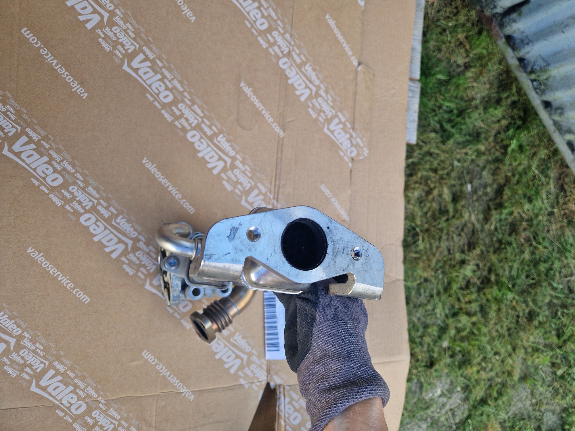 Chłodniczka Egr Ducato, Iveco