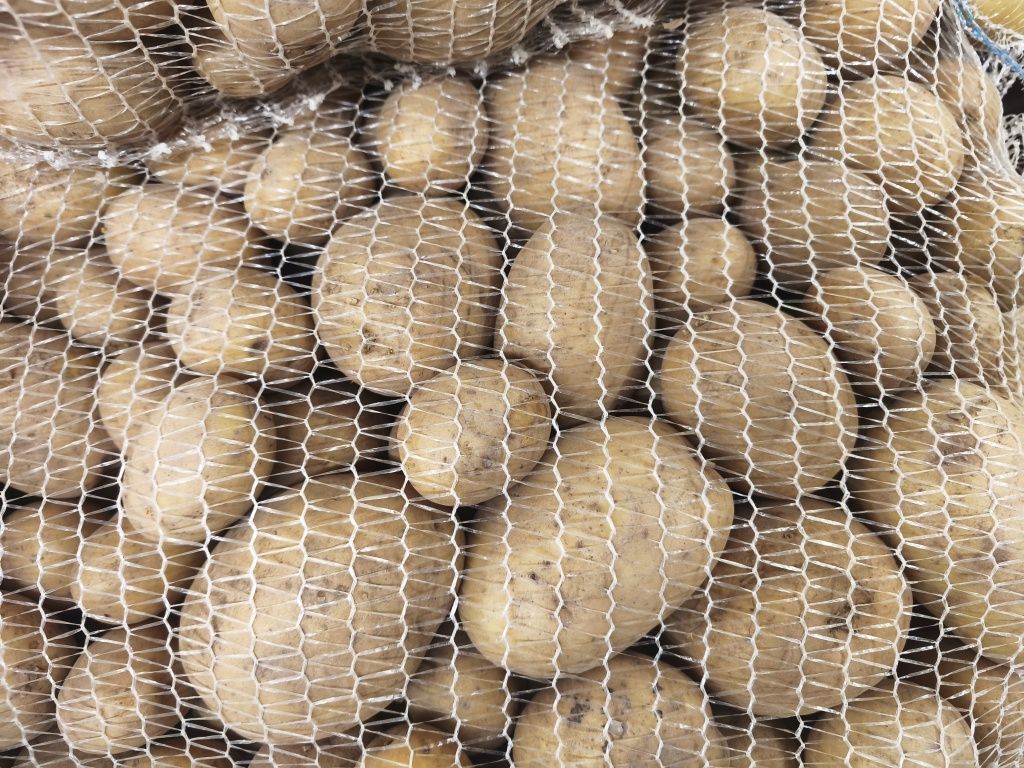 Batatas vários tipos - Sacos 20kg - ENTREGA GRATIS