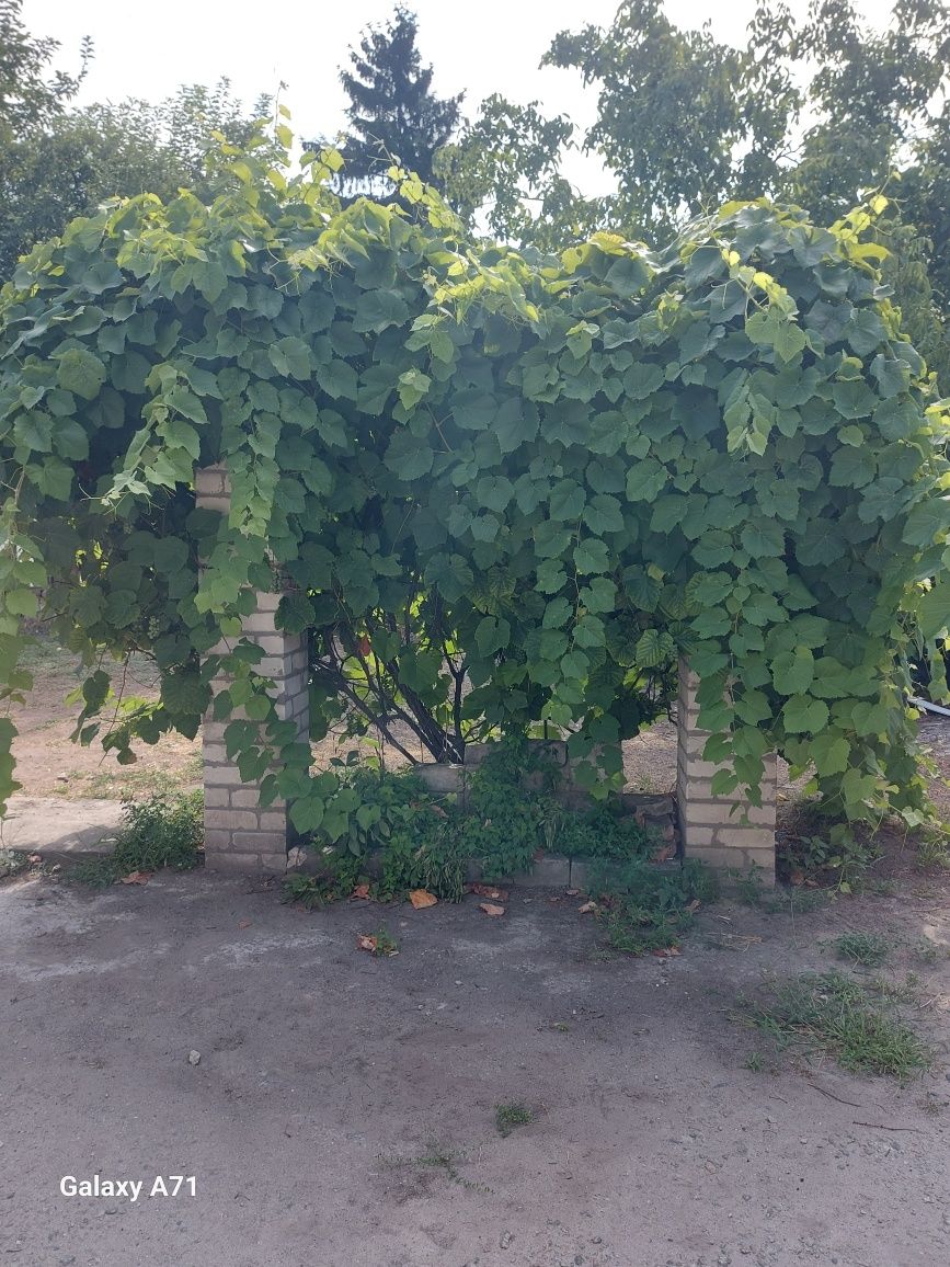 Продам дом АНД район от собственника