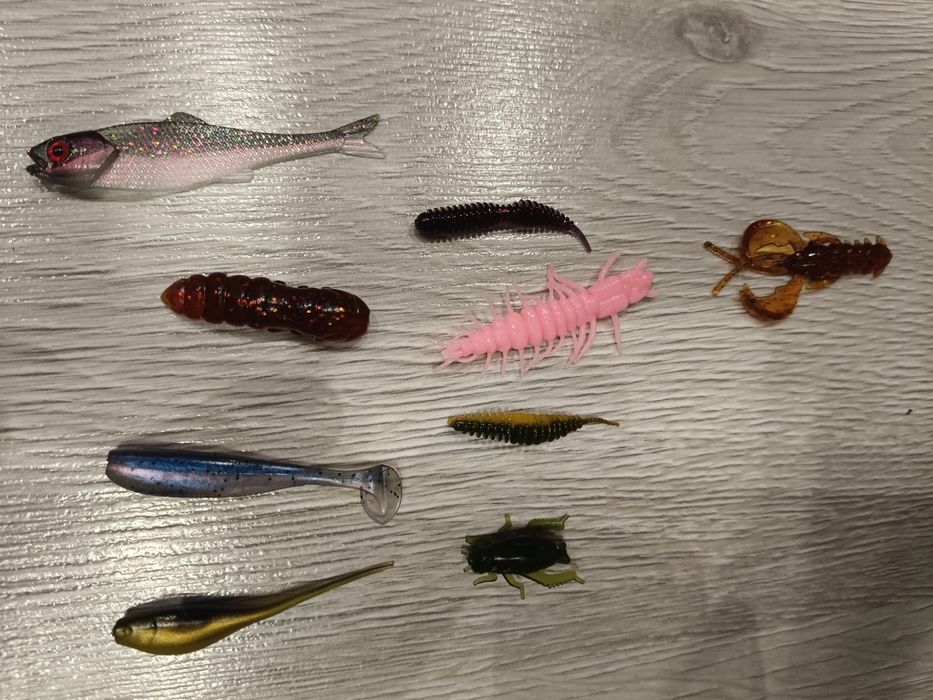 Zestaw Okoń Kleń Pstrąg