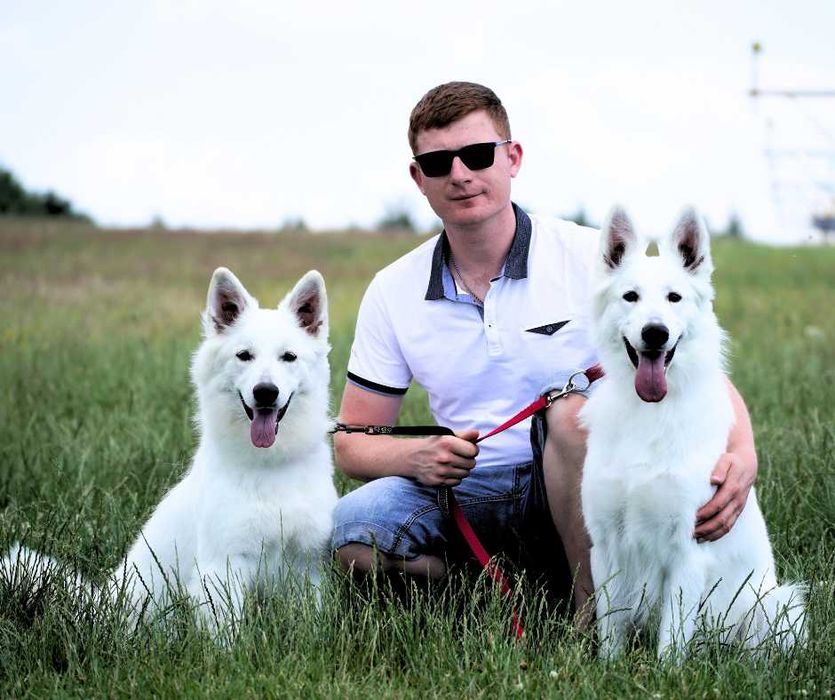 Biały Owczarek Szwajcarski - linia zwycięzców Europy, Świata i Klubów!