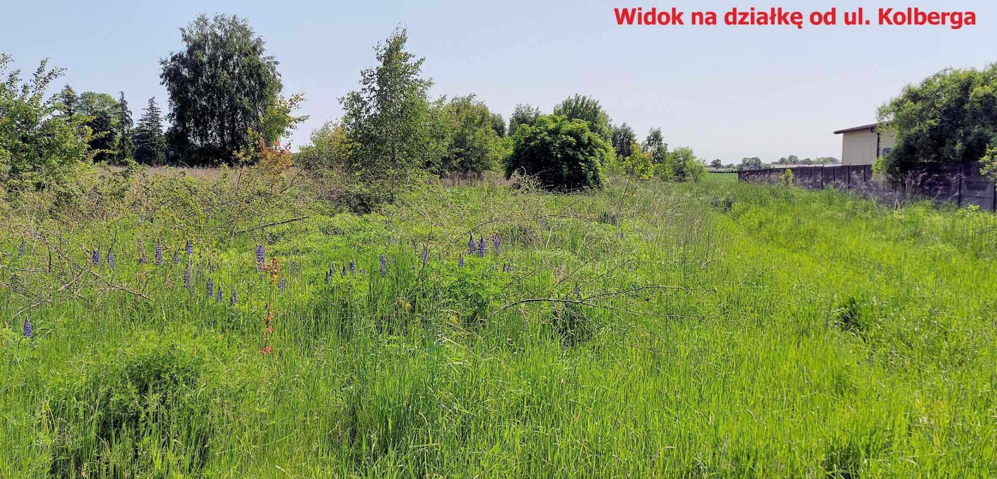 Działka 0,98 ha okolice Radomska - miejscowość Strzałków ul. Kolberga