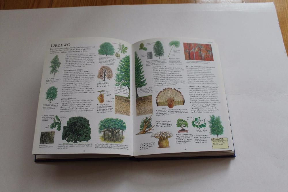 Podręczna encyklopedia ucznia