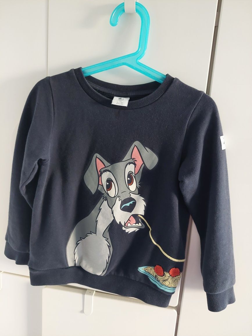 Bluza dziewczęca z 2 pieskami disney 110