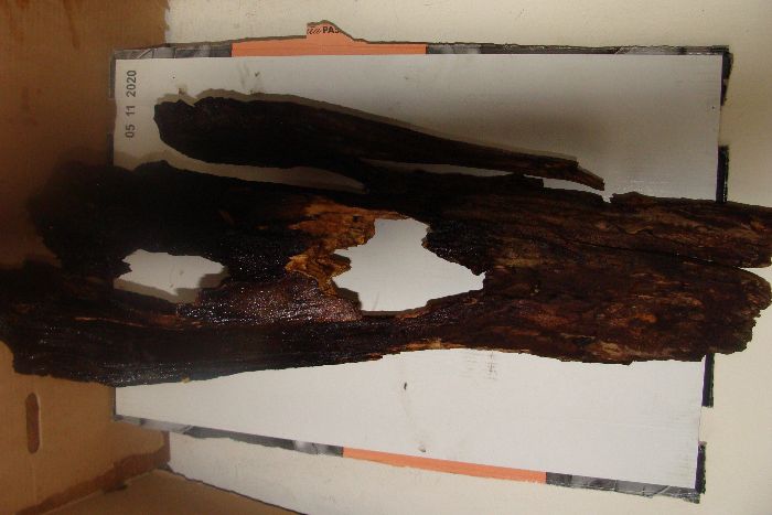 Sprzedam korzeń do akwarium