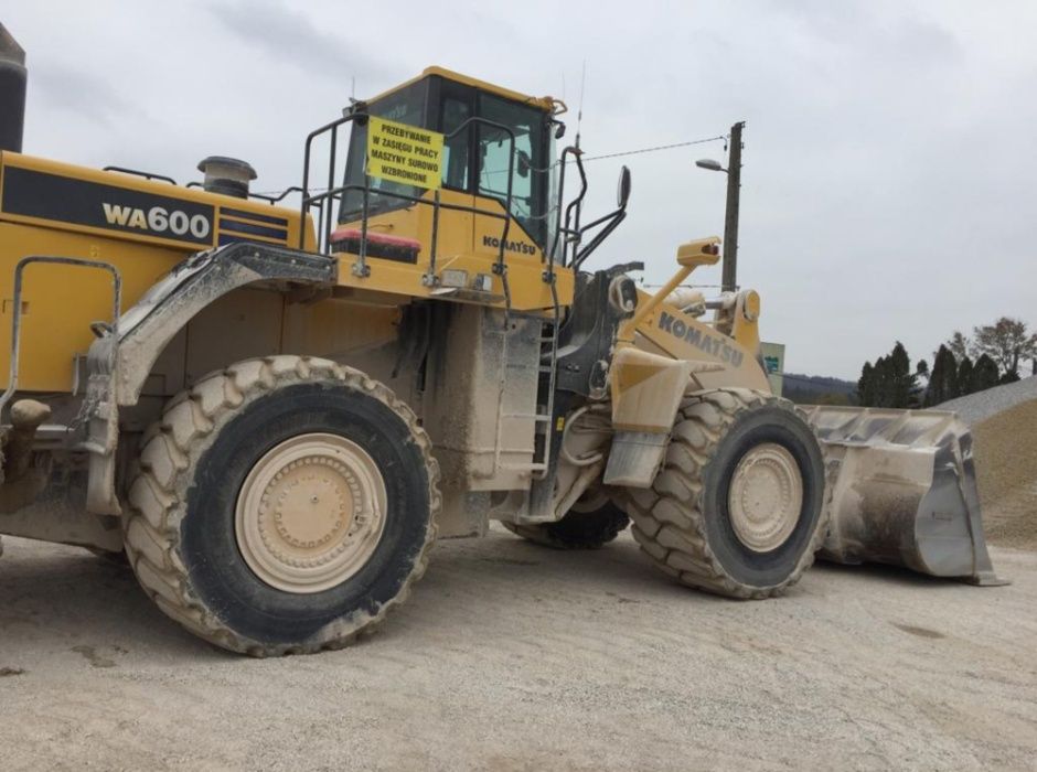 Kurs na operatora pilarki mechanicznej do ścinki drzew START 26.05.