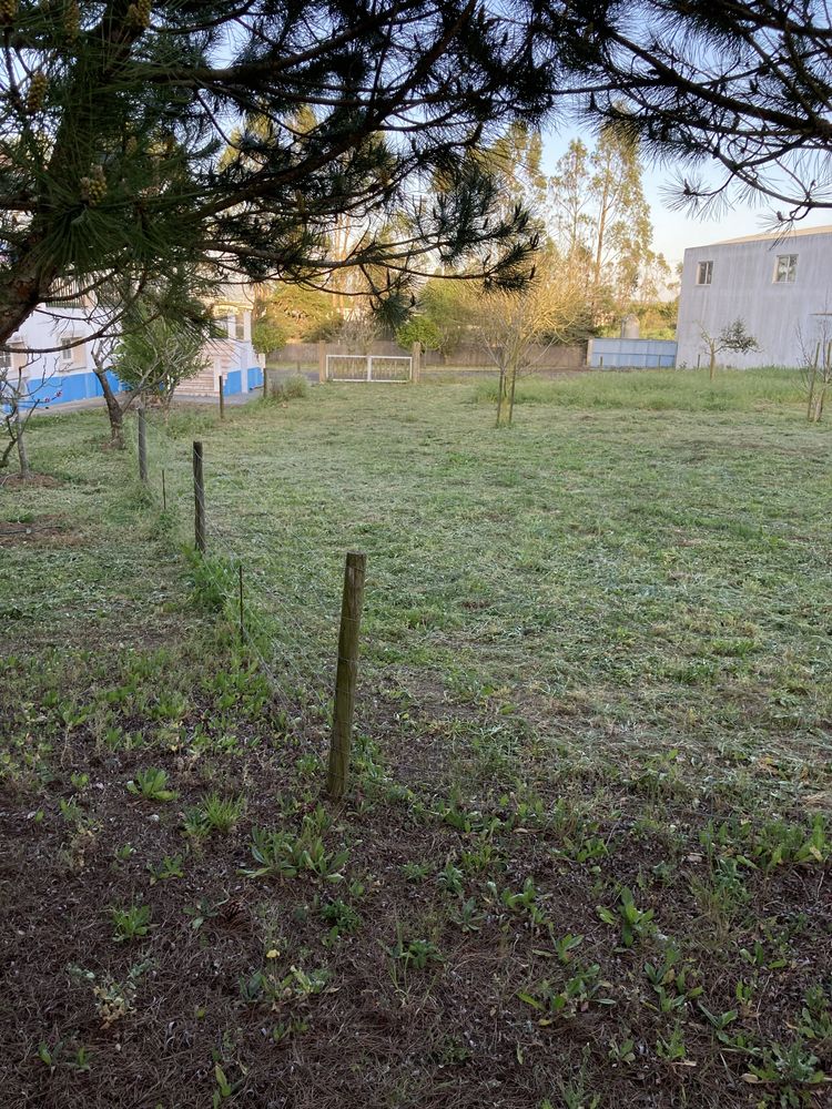 Serviços de Limpeza de Terrenos