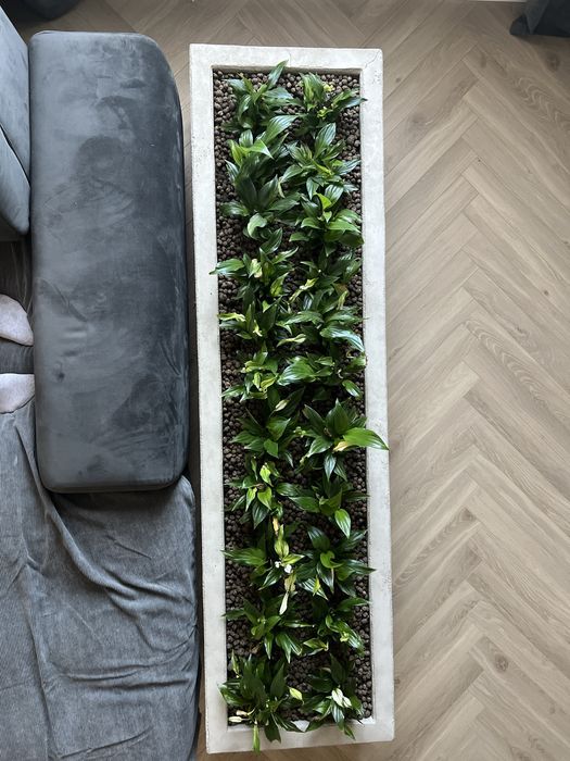 Doniczka donica betonowa duża kwietnik beton architektoniczny