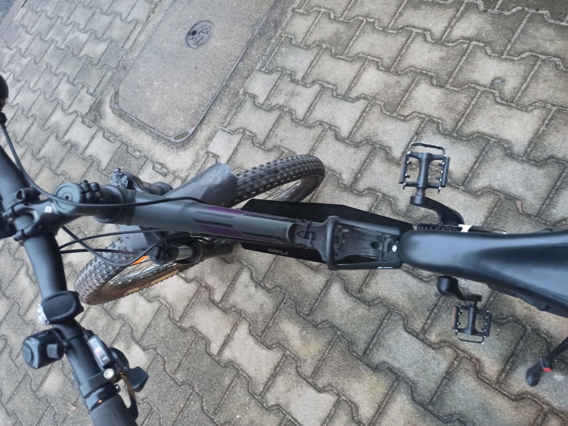 Rower Trek Marlin 5