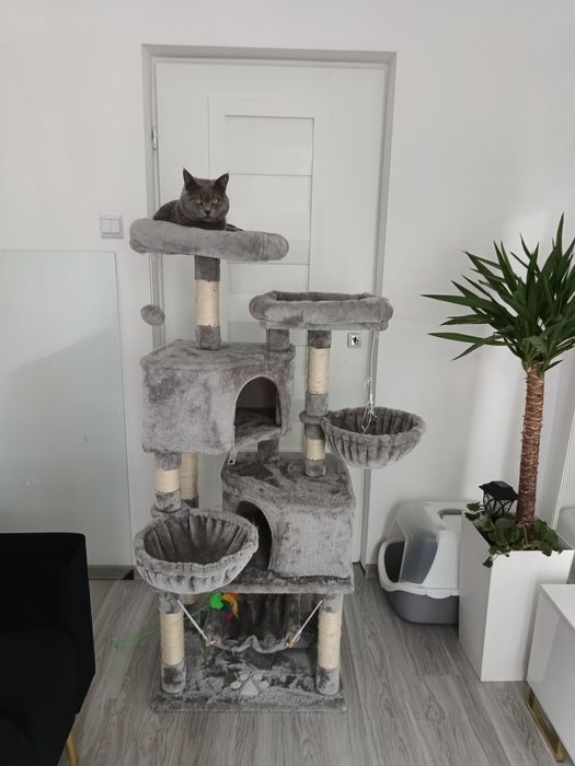 Duży drapak dla kota