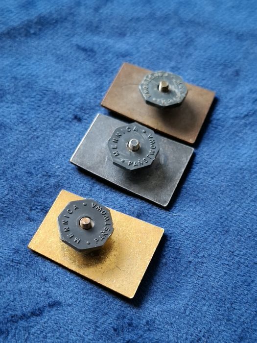 Odznaki Wzorowy Żołnierz wz. 1973 (złota, srebrna, brązowa).