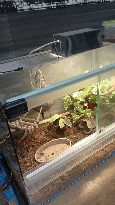 Терарріум 60х35х40