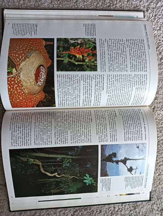 As Plantas - Ardley, Neil ; Matthews, Robert  como novo!