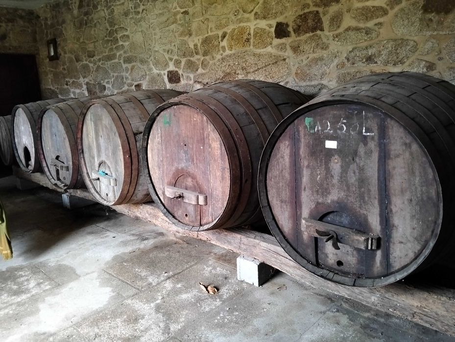 7 Pipas grandes em madeira