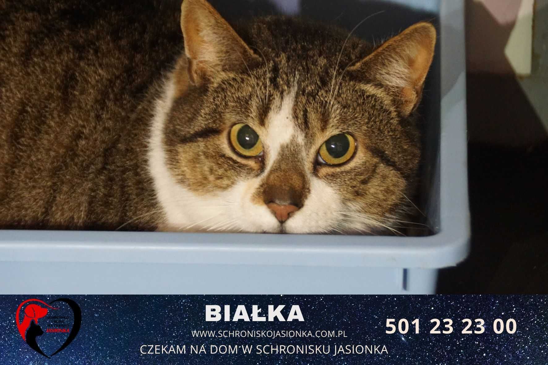 Białka do adopcji