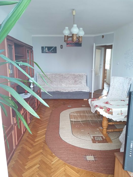 Mieszkanie do wynajęcia