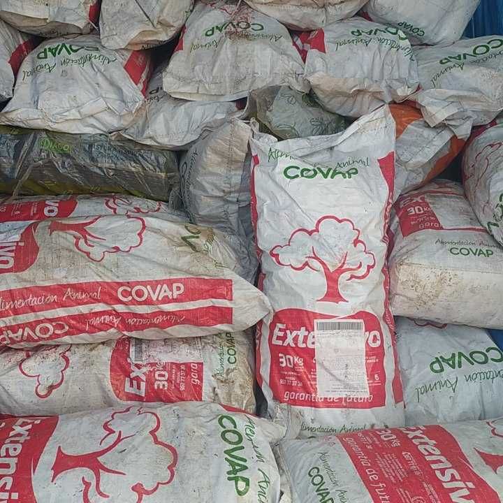 Carvão sacas 12kg