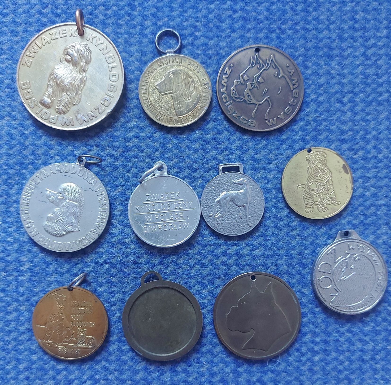 Medale wystawy psów