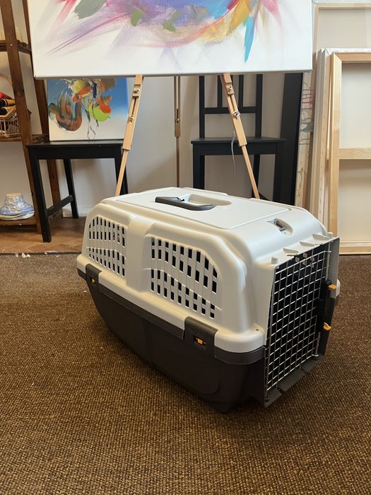 IATA transportadora nova