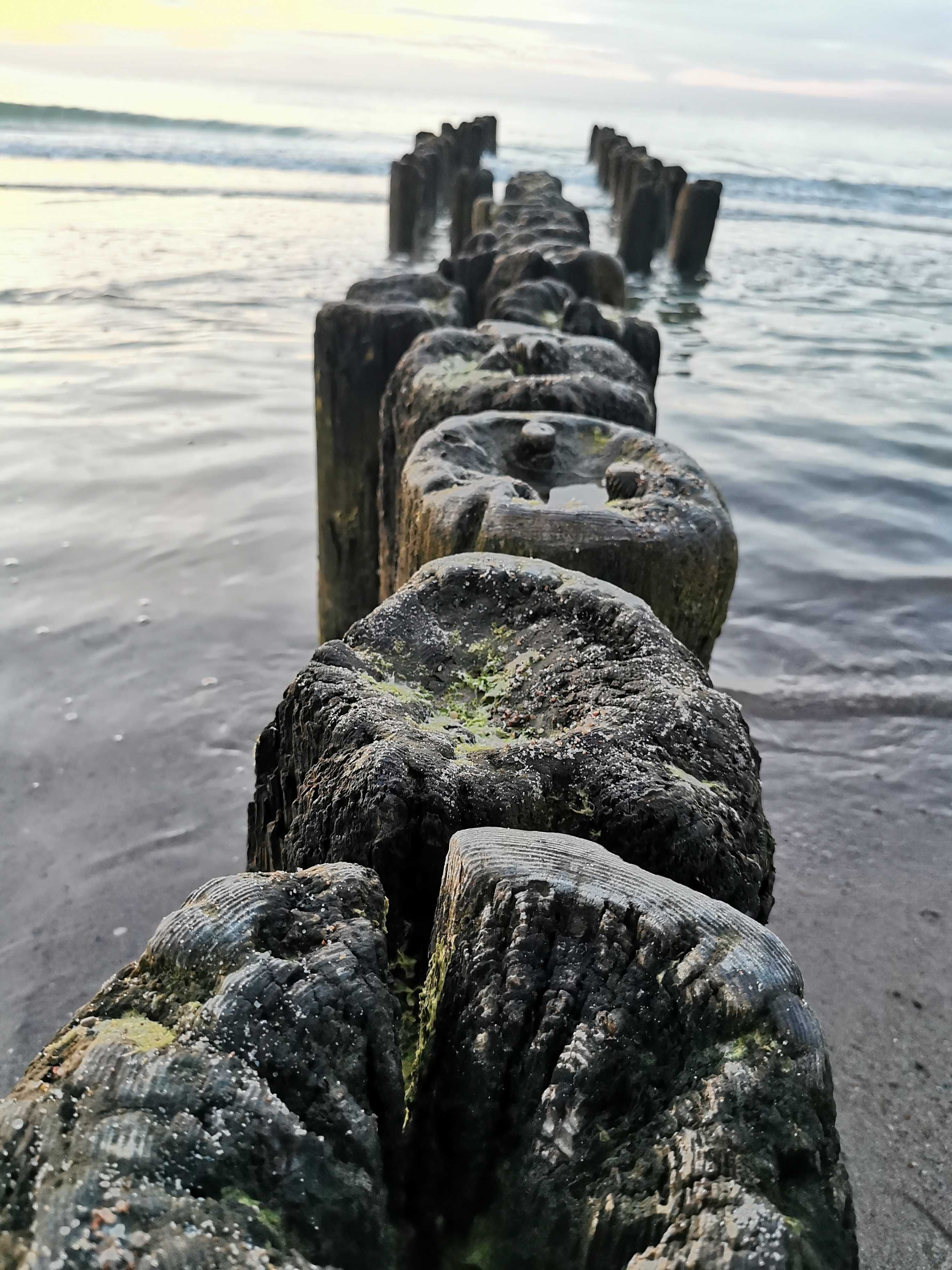 Pokoje i domki do wynajęcia