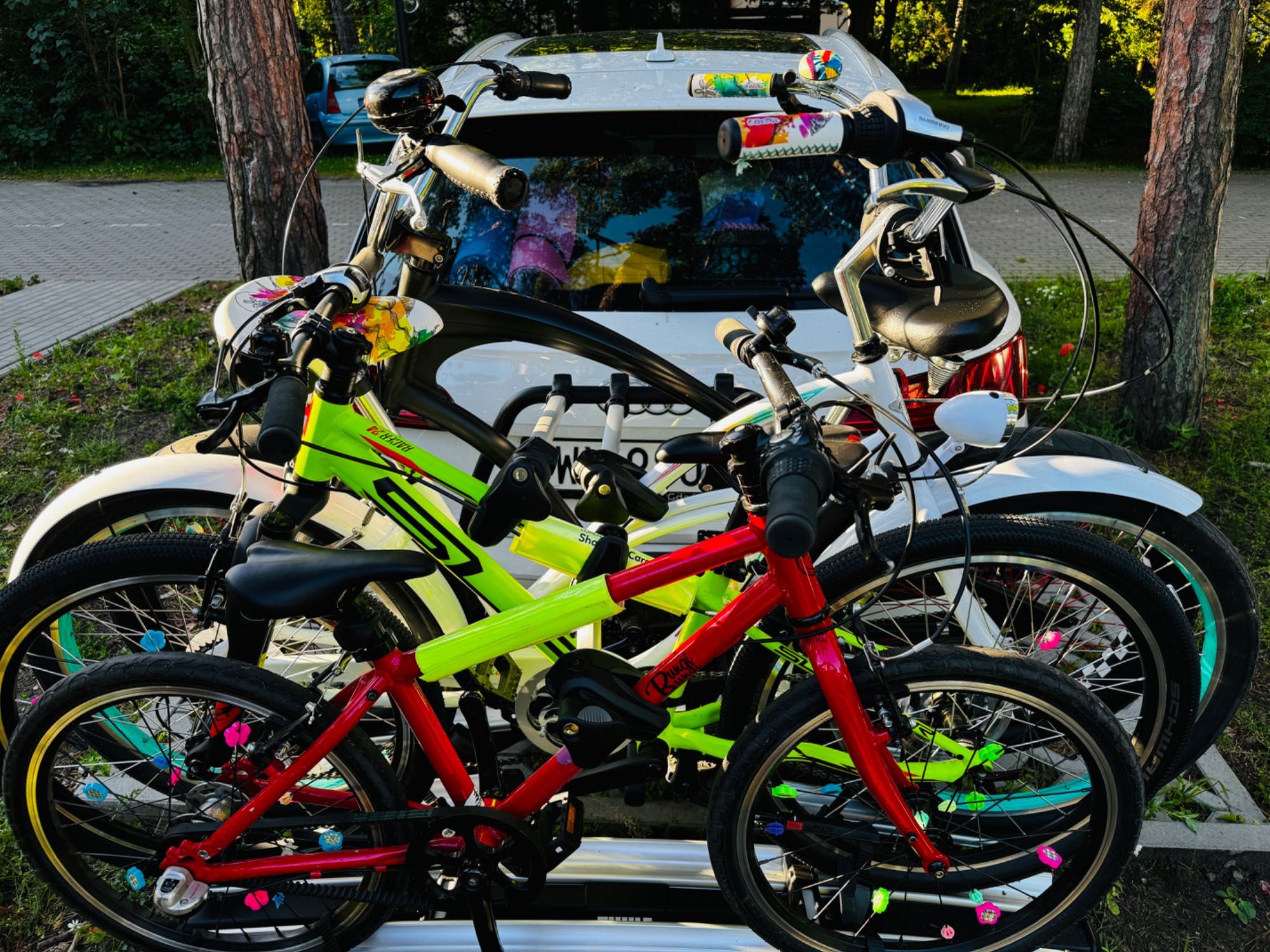 Thule VeloSpace platforma rowerowa - wynajem