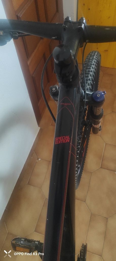 Bicicleta Adulto