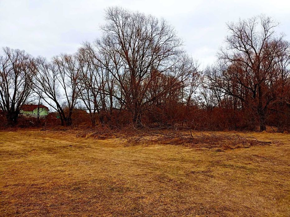 TO Земельна ділянка в стародавньому селі Боромики